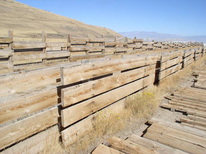 2" Alpine Fir Fencing